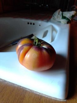 Exif_JPEG_420 Exif_JPEG_420