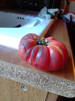 Exif_JPEG_420 Exif_JPEG_420