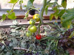 Exif_JPEG_420 Exif_JPEG_420